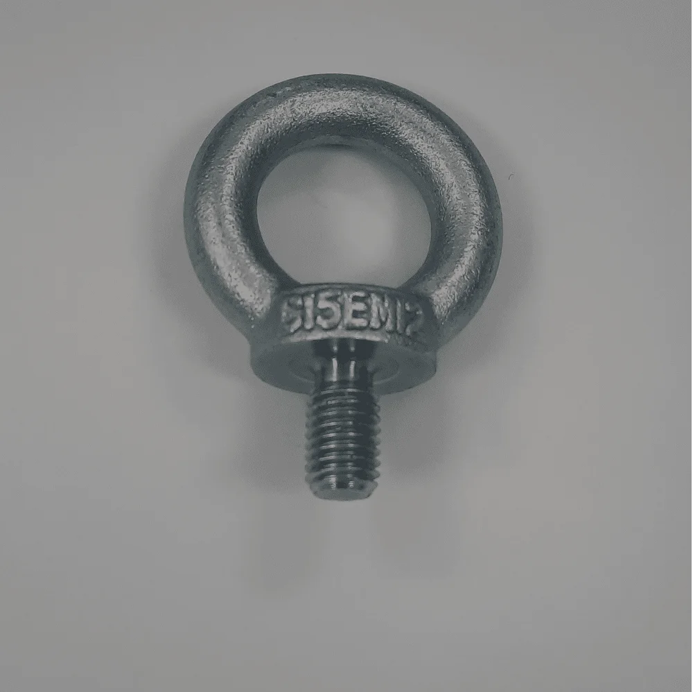 Ringschraube M12 x 20